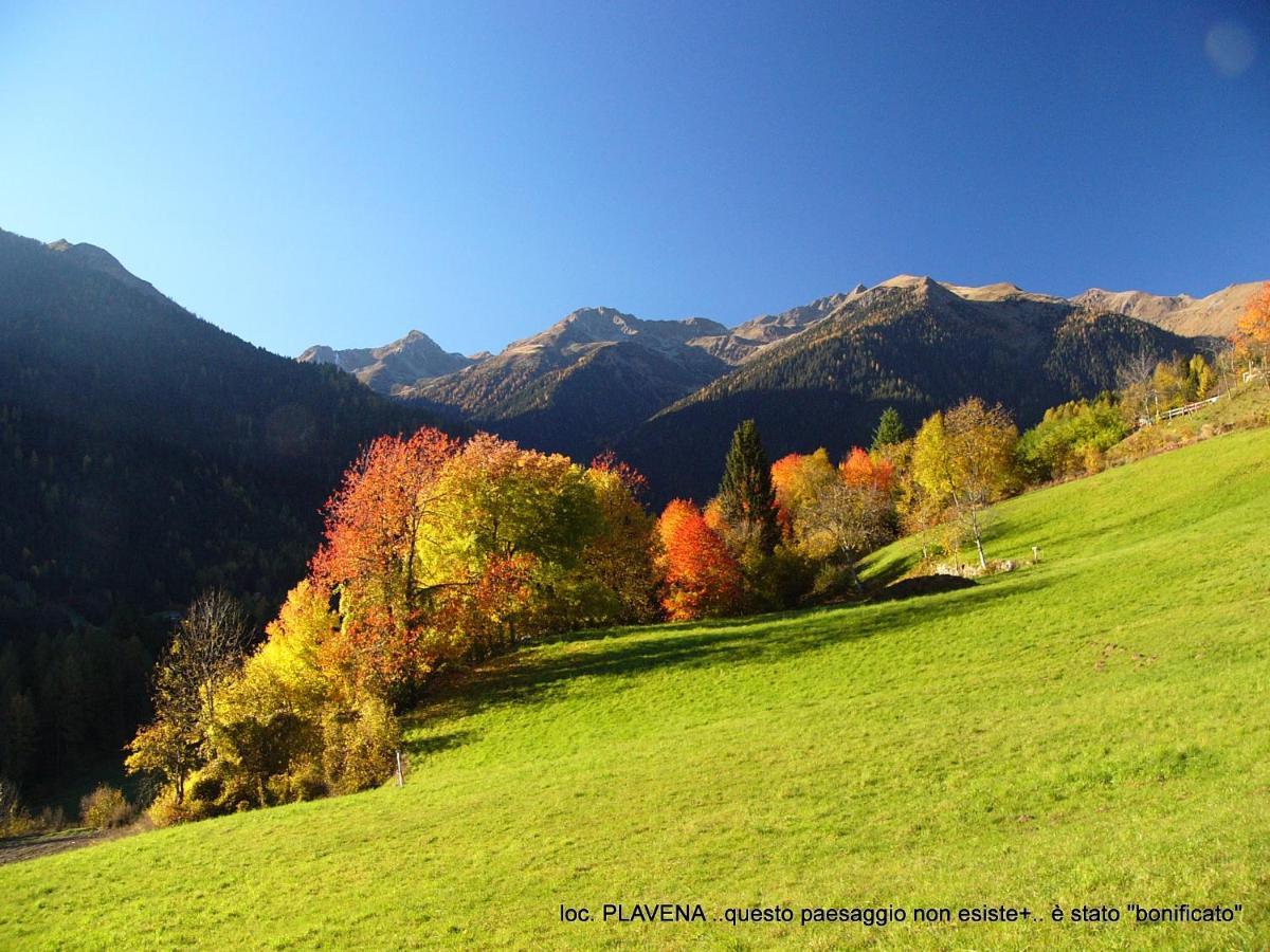 Alpen Garten Hotel Margherita Rumo Exteriör bild