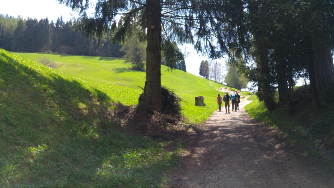 Alpen Garten Hotel Margherita Rumo Exteriör bild